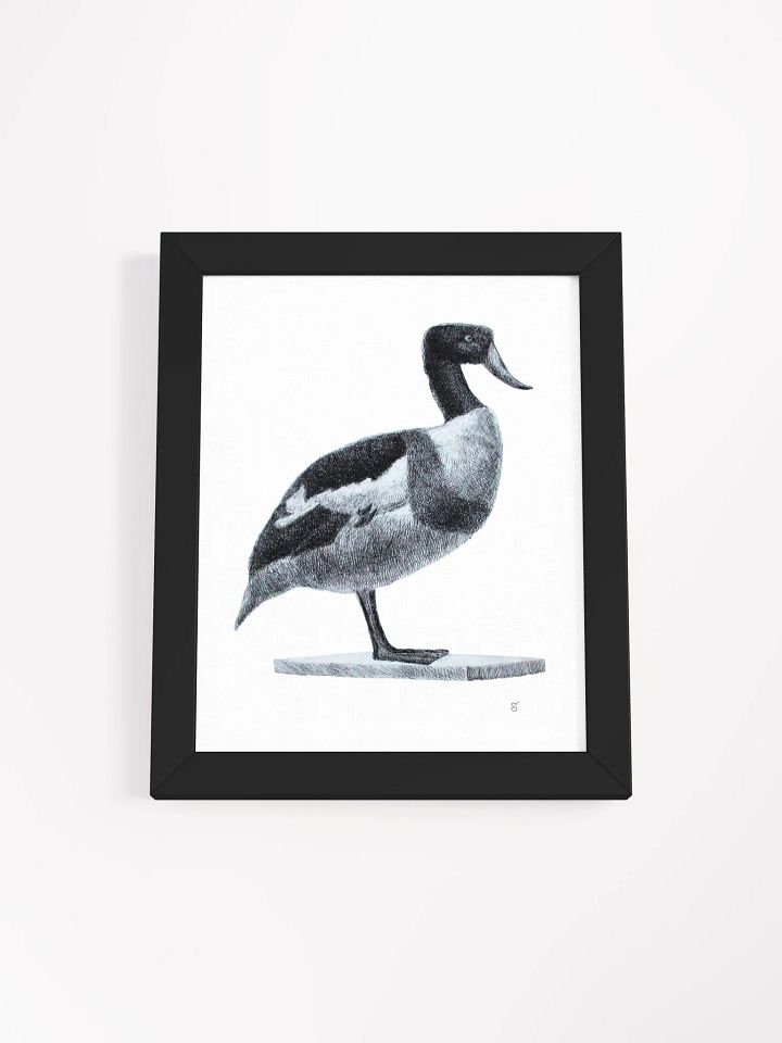 Serene Solitude: Framed Duck Illustration - Duck product image (3)