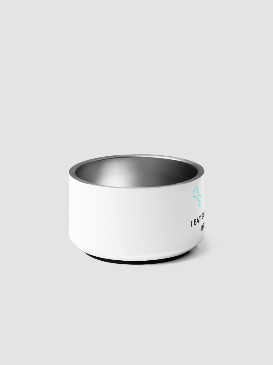 [Ashley Briana Eve] Pet Bowl product image (7)