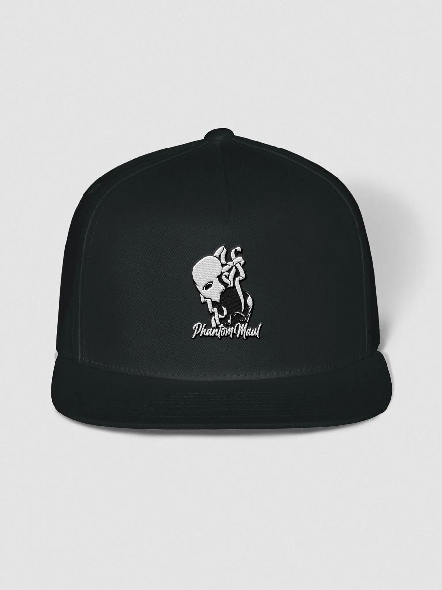 Black & White Logo Snap-Back product image (1)