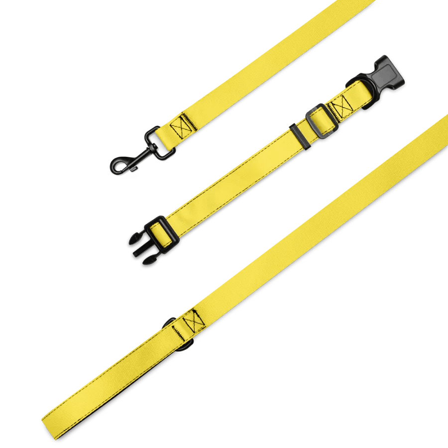 Sunrise Glow Pet Collar & Leash Set product image (11)
