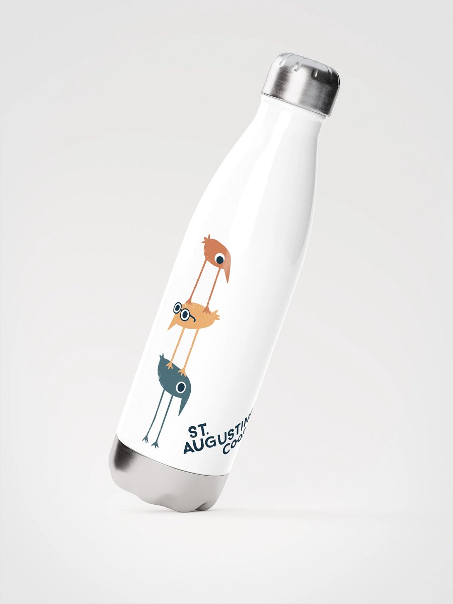 Co-op Water Bottle (17 oz) product image (2)