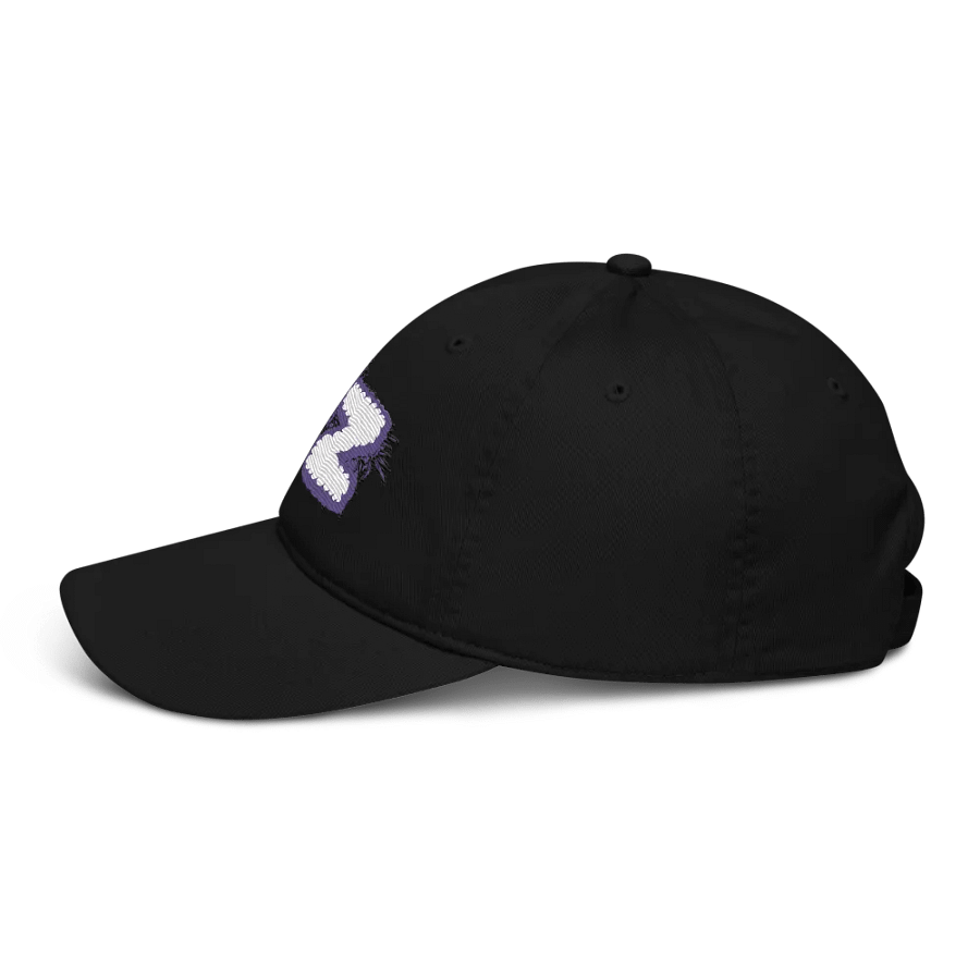 BZ Cloud Organic Dad Hat product image (3)