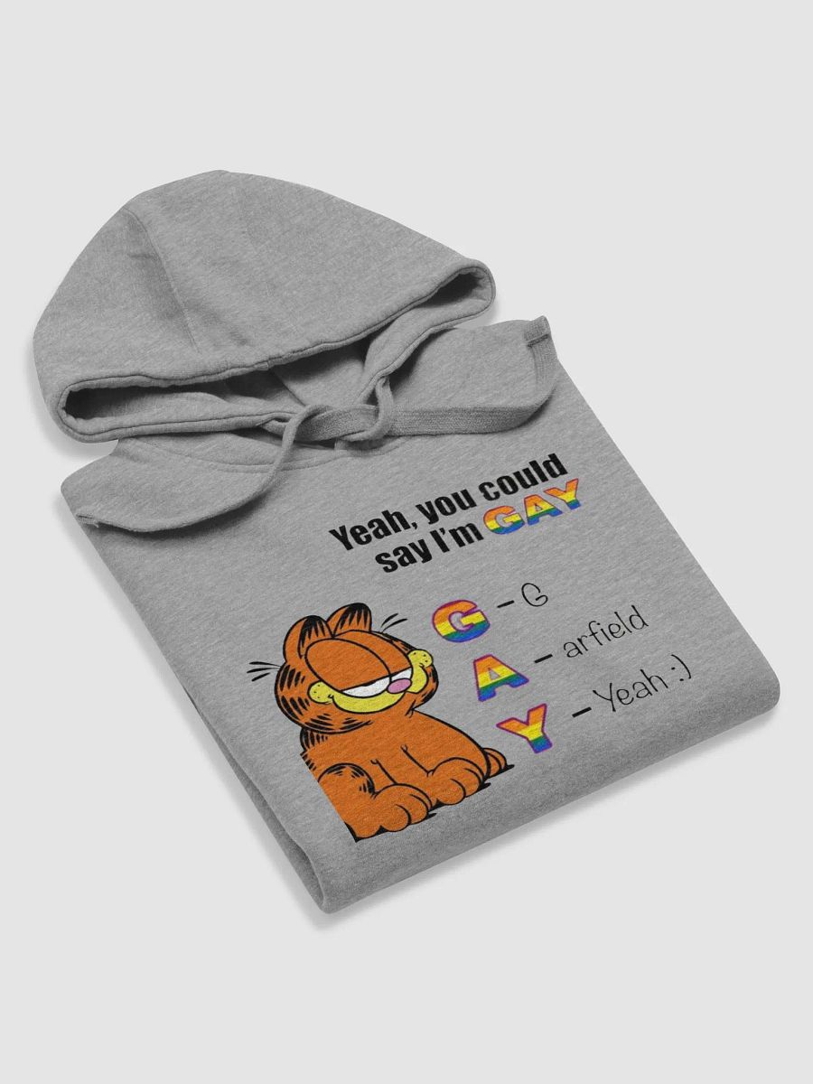 Gay Hoodie product image (40)