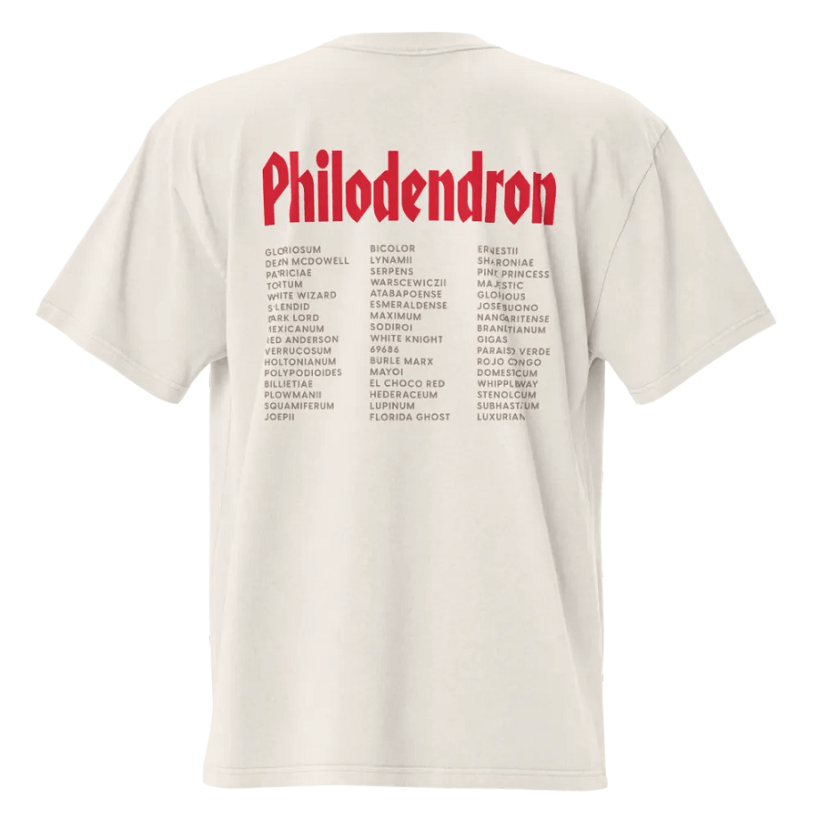 ⚡️ PHILODENDRON WORLD TOUR ⚡️ oversized tee product image (2)