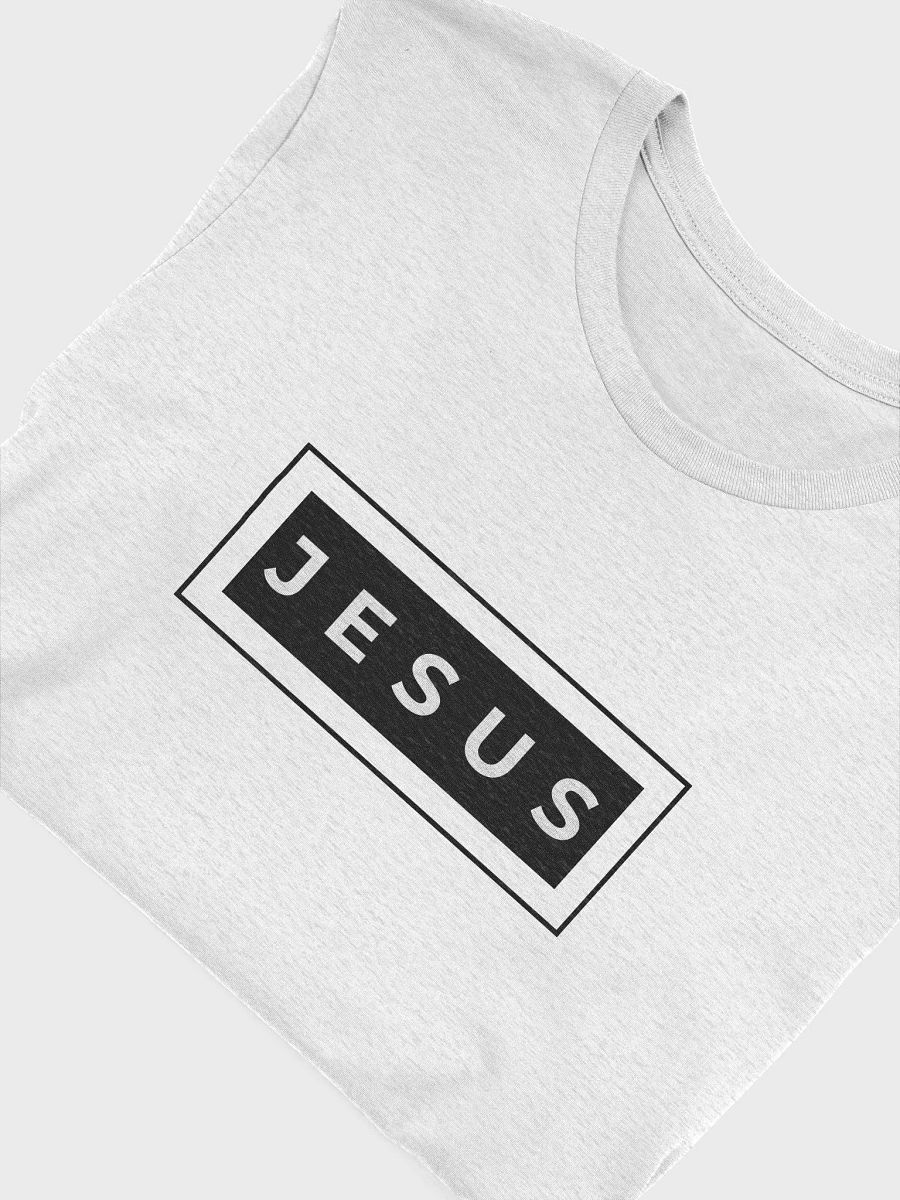 Jesus Facts Tee product image (8)