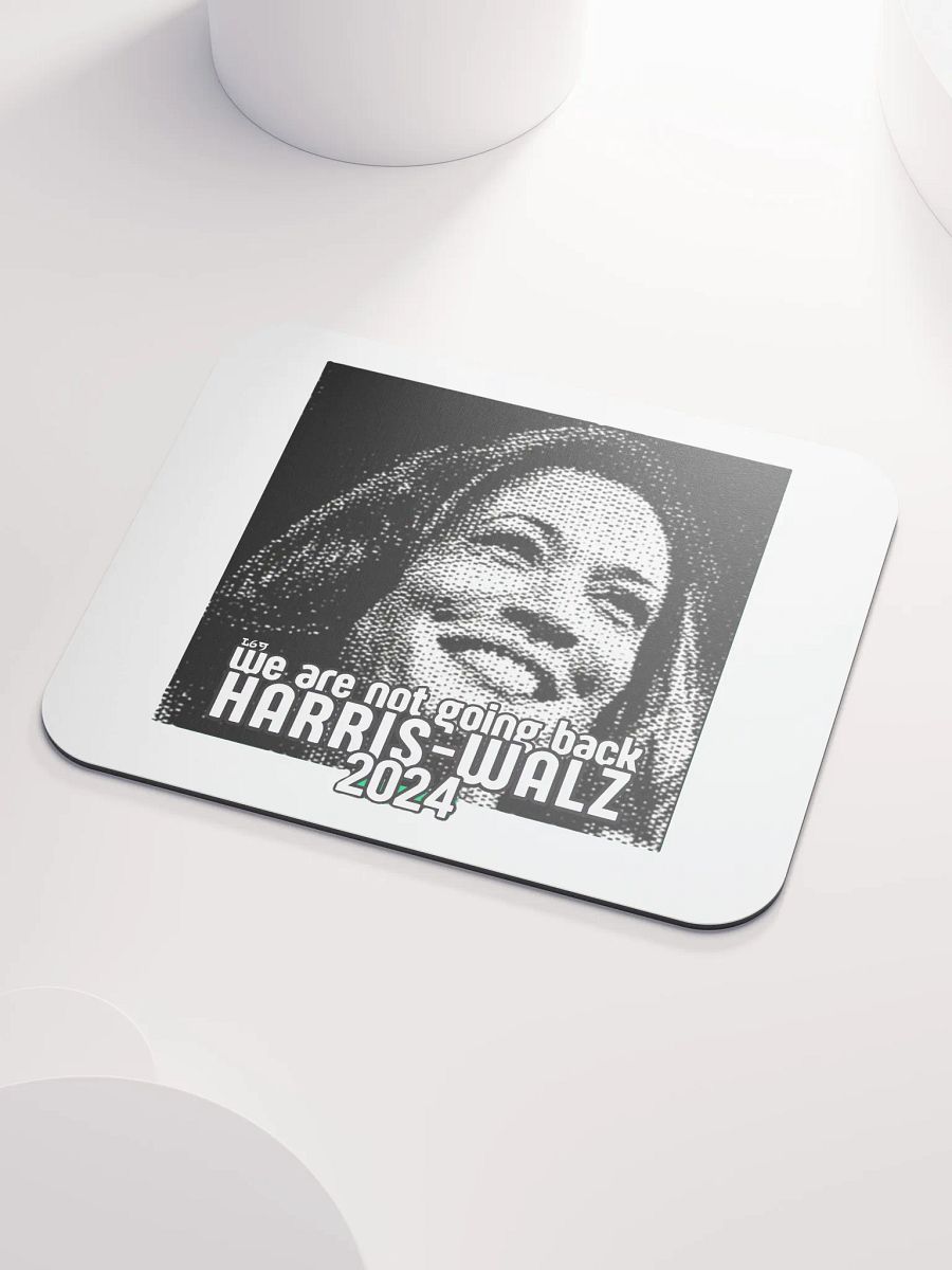 HARRIS-WALZ 2024 WE ARE NOT GOING BACK product image (3)