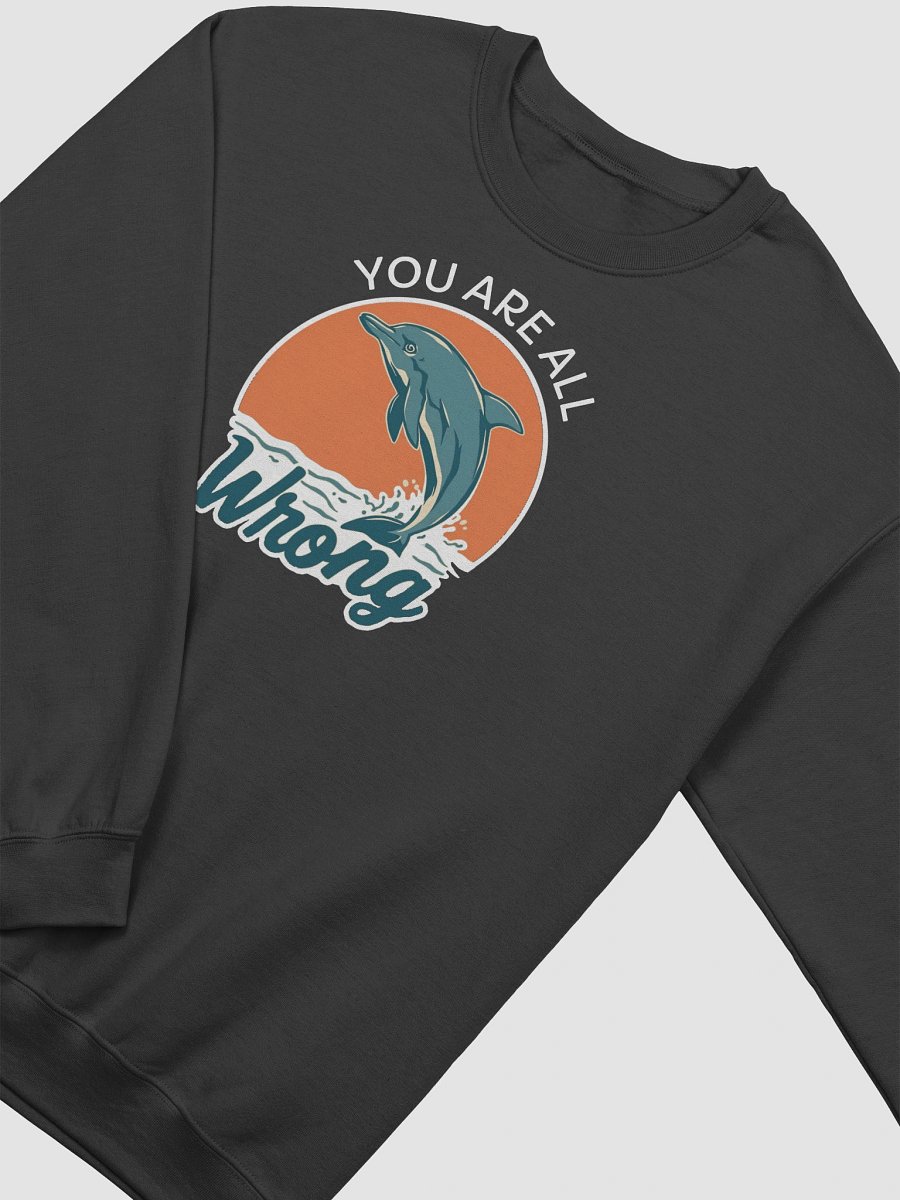 You Are All Wrong Funny Sweatshirt product image (2)