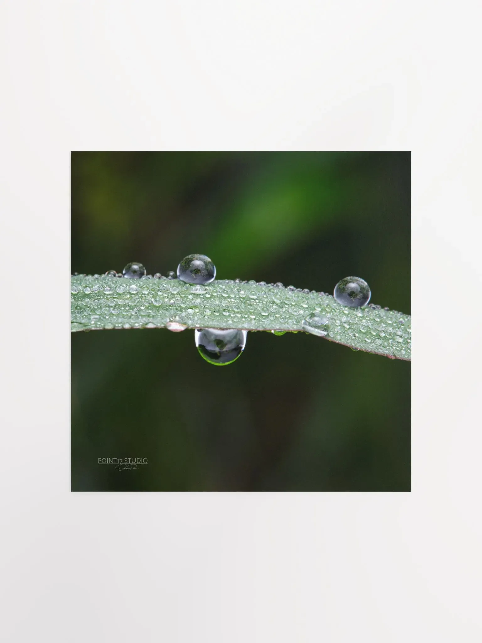 Dew Gems #7 - Print product image (2)