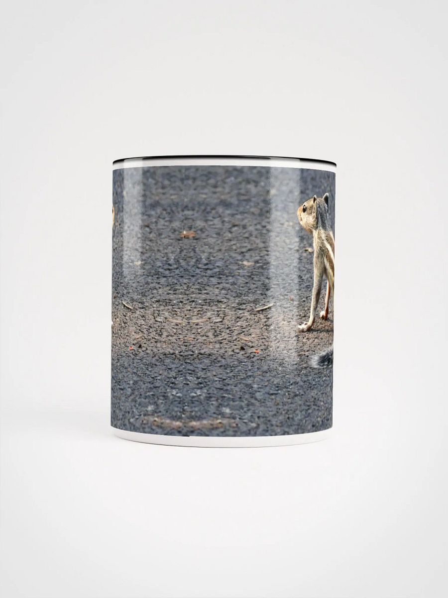 IUCAA Birds MUG product image (5)