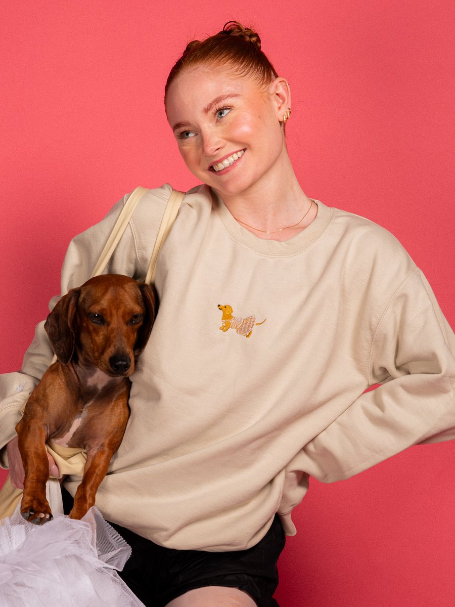 Doxie Crewneck product image (1)