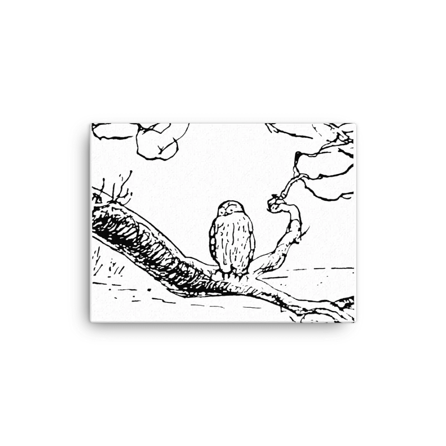 Owl on a Branch Canvas Artwork product image (1)