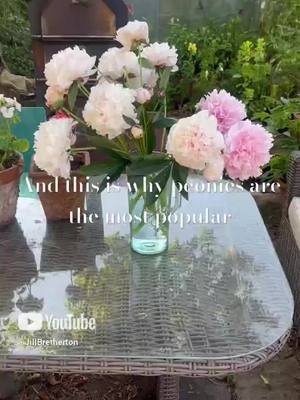 The most popular cottage garden flower and cut flower #beginnergardening #cottagegardenplants #cutflowers #peonies 