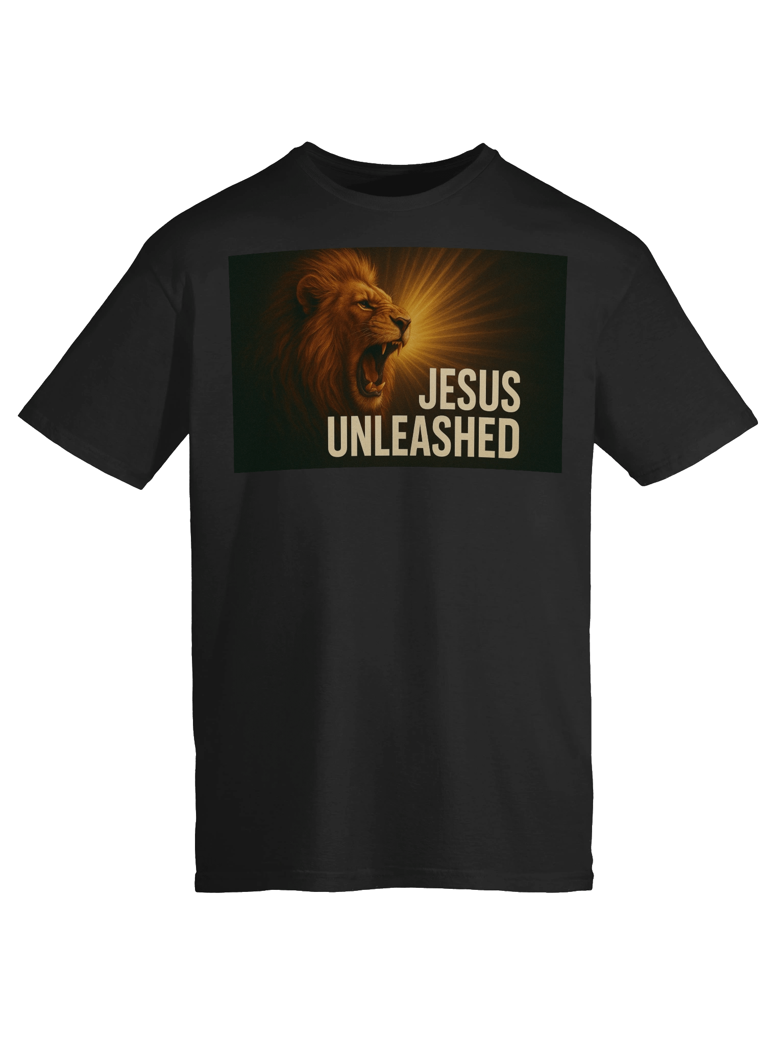 jesus unleashed product image (9)
