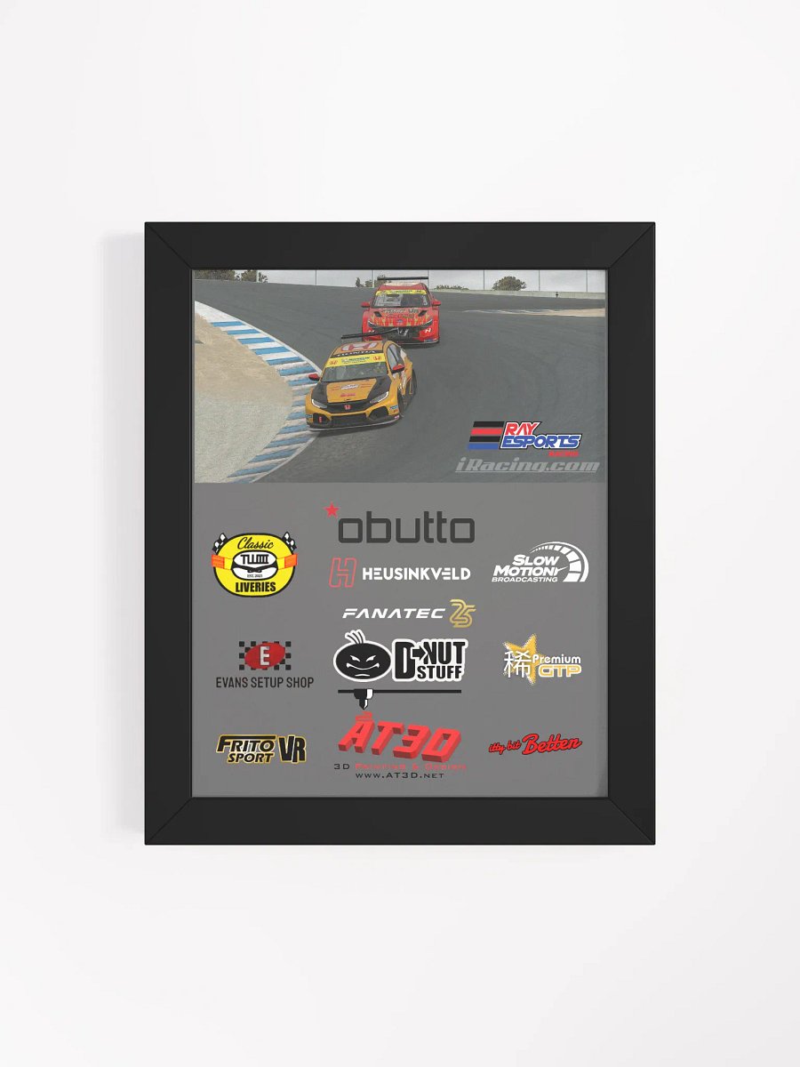 Ray TCR race at Laguna Seca product image (10)