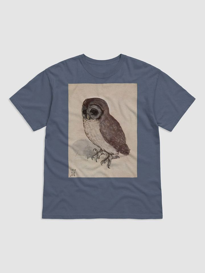 Albrecht Durer The Little Owl Graphic Tee product image (9)