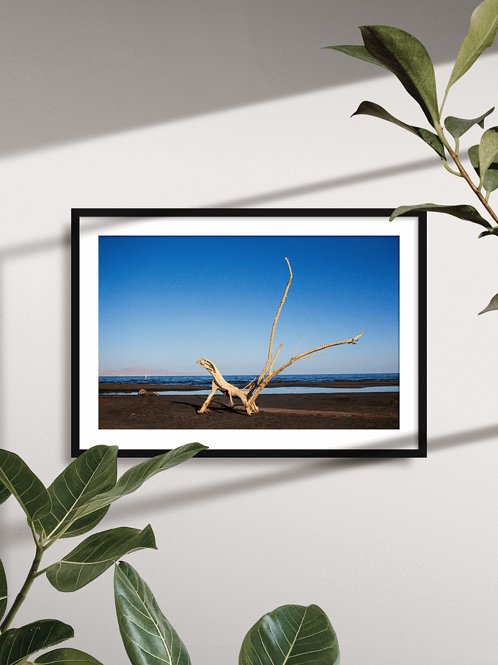 Great Salt Lake State Park Poster product image (2)
