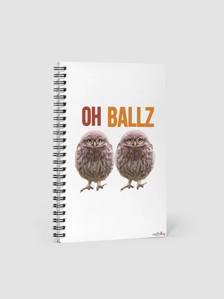 Oh Ballz Notebook product image (1)