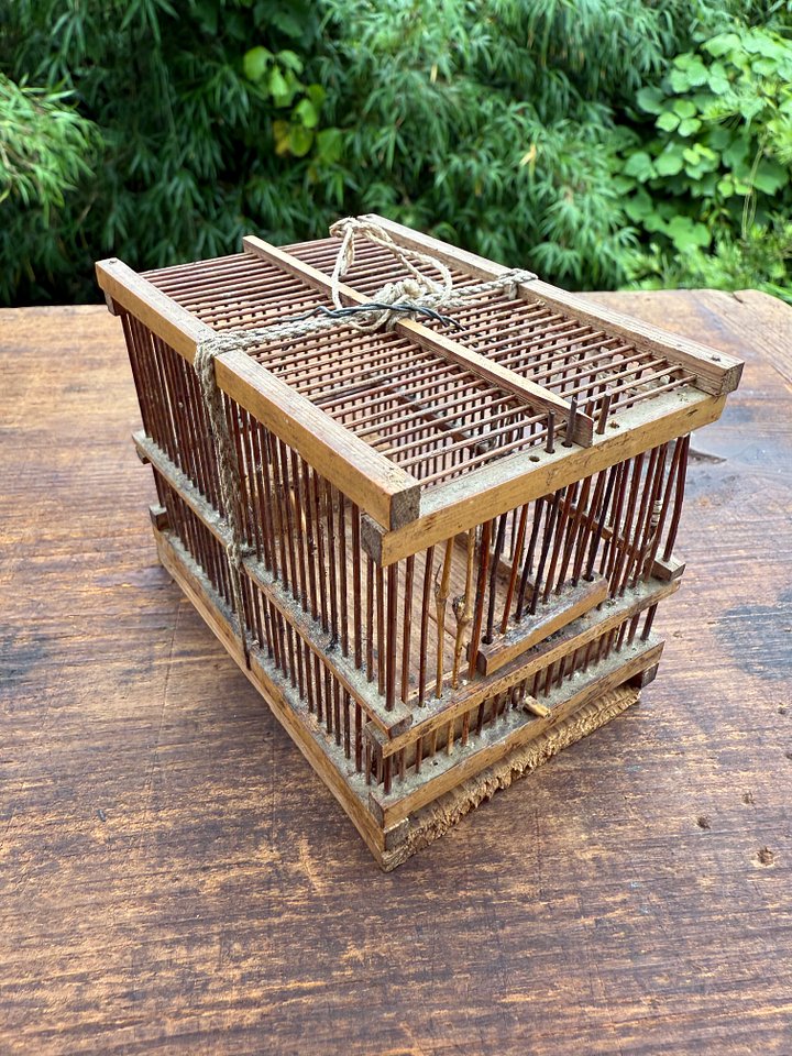 🎎 Antique Japanese Mushi Kago Insect Cage – Handcrafted Bamboo Folk Art – Japan Antique Roadshow product image (2)