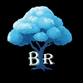 Barely Reality Clothing