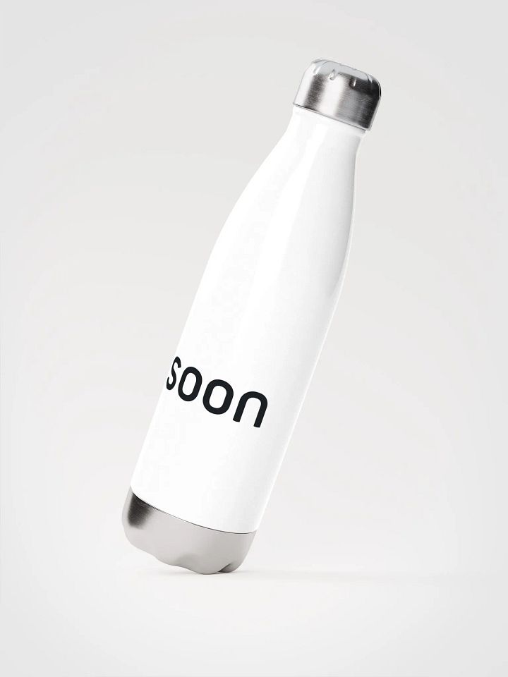 Stainless Steel Water Bottle product image (2)