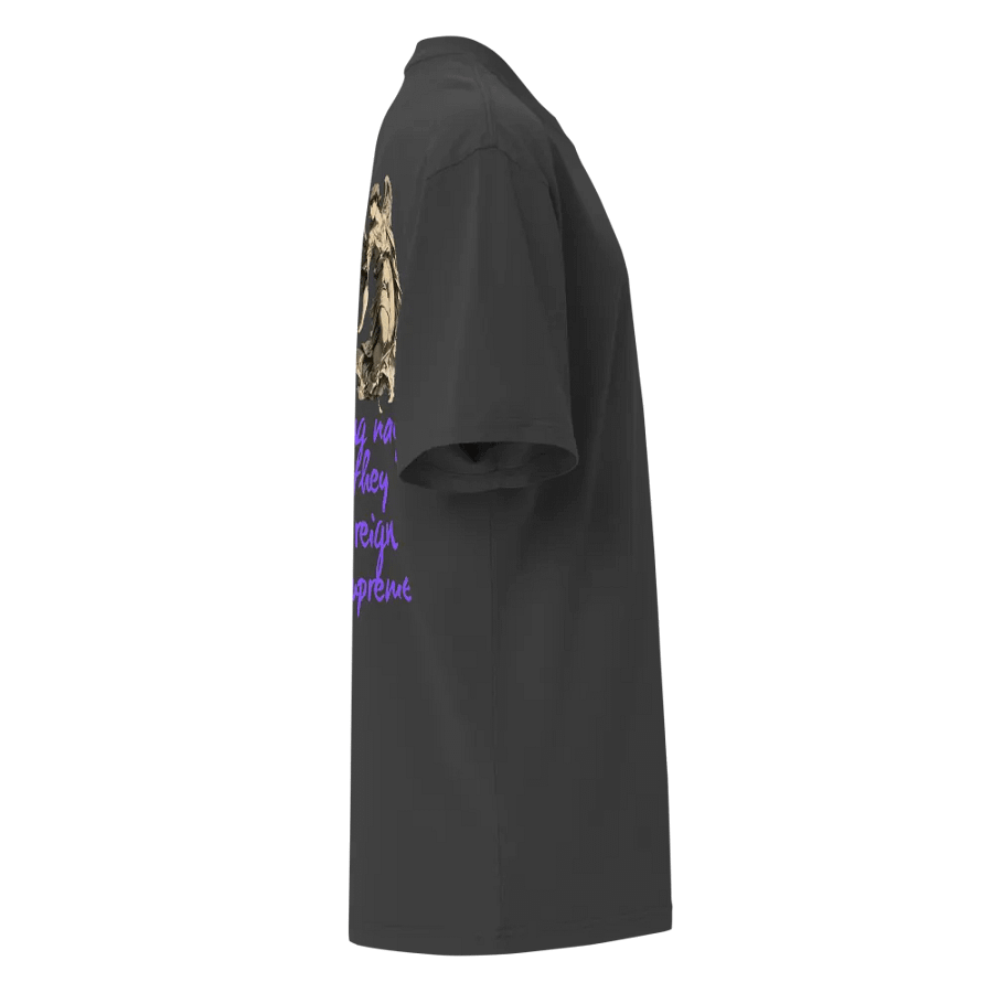 MERCIFUL ANGELS OVERSIZED TEE product image (11)