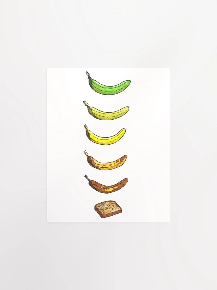 Life Cycle Of A Banana product image (2)