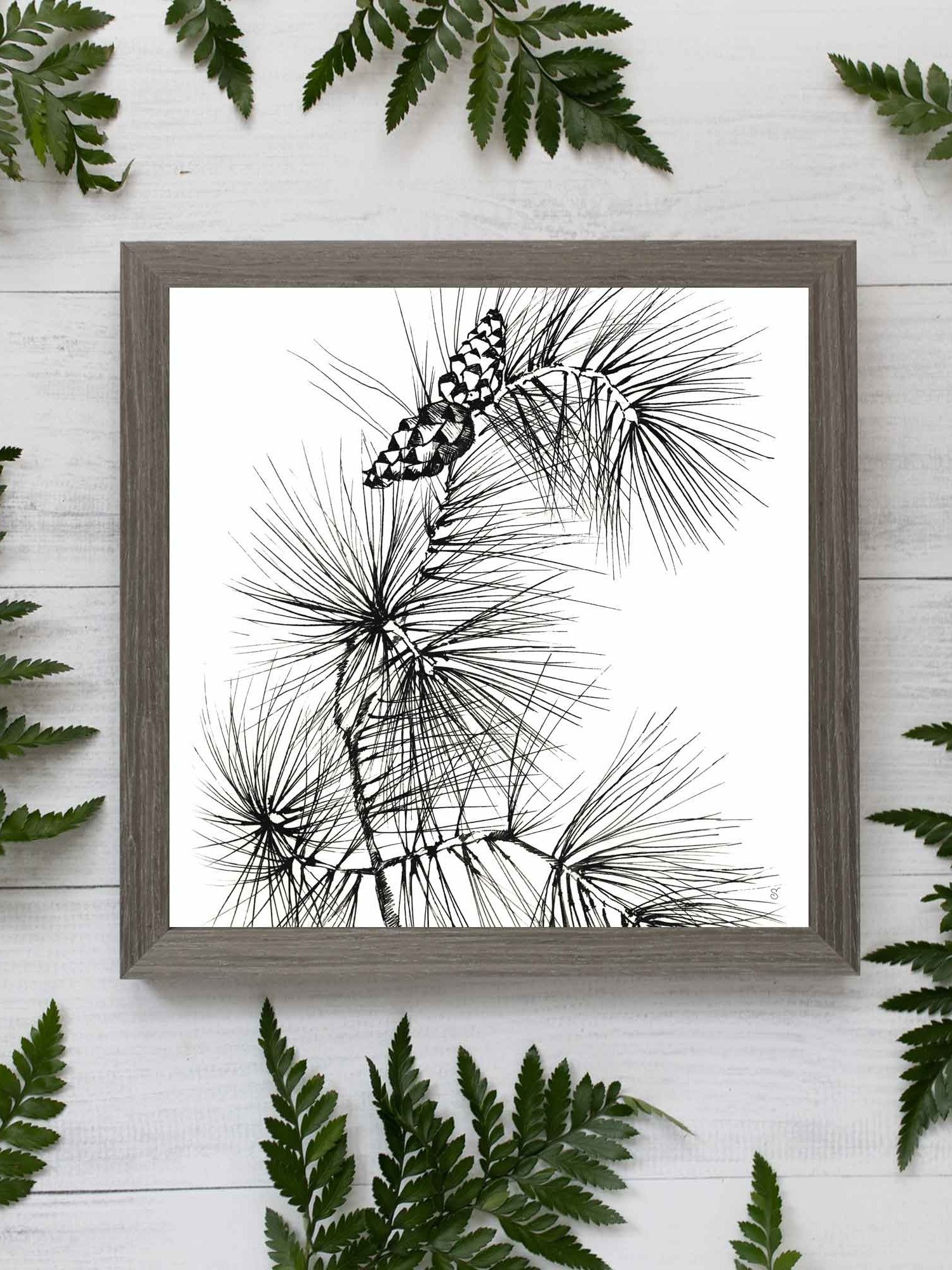 Blank Canvas: Unleash Your Artistic Vision - Pine Branch and Cones product image (103)