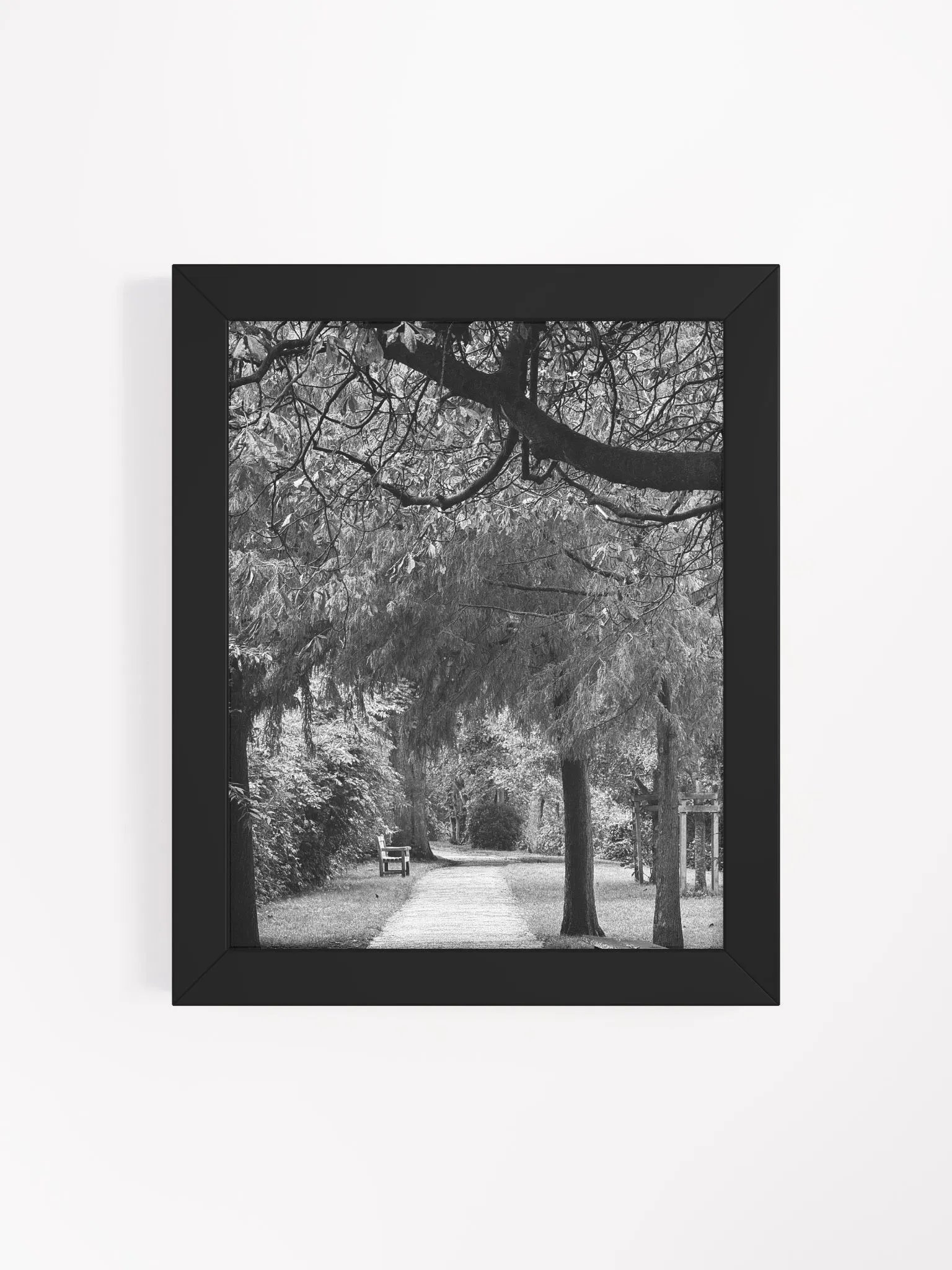 Autumn Walk product image (44)