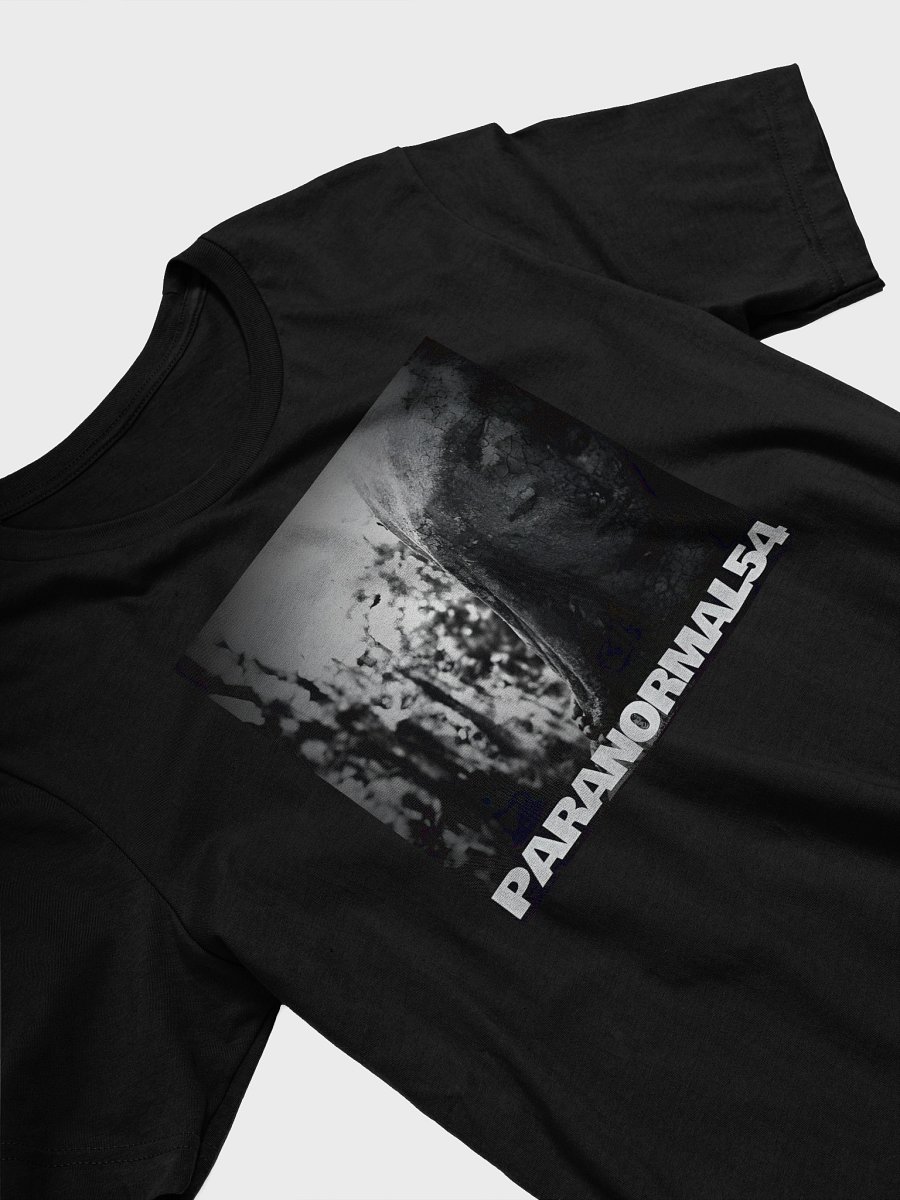 Haunted Mother Mary Statue T-Shirt product image (2)