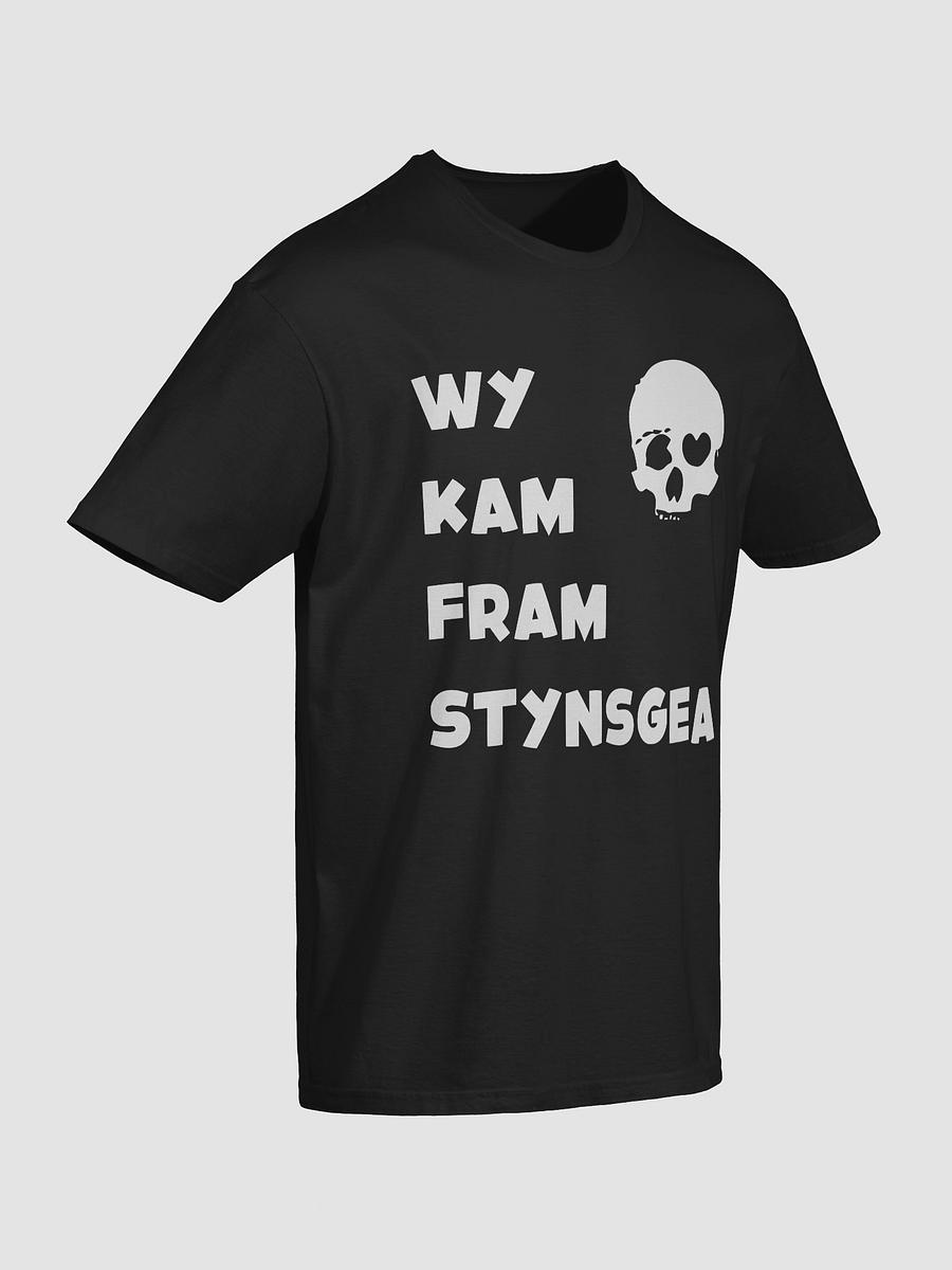 Wy Kam Fram Stynsgea - Shirt product image (6)