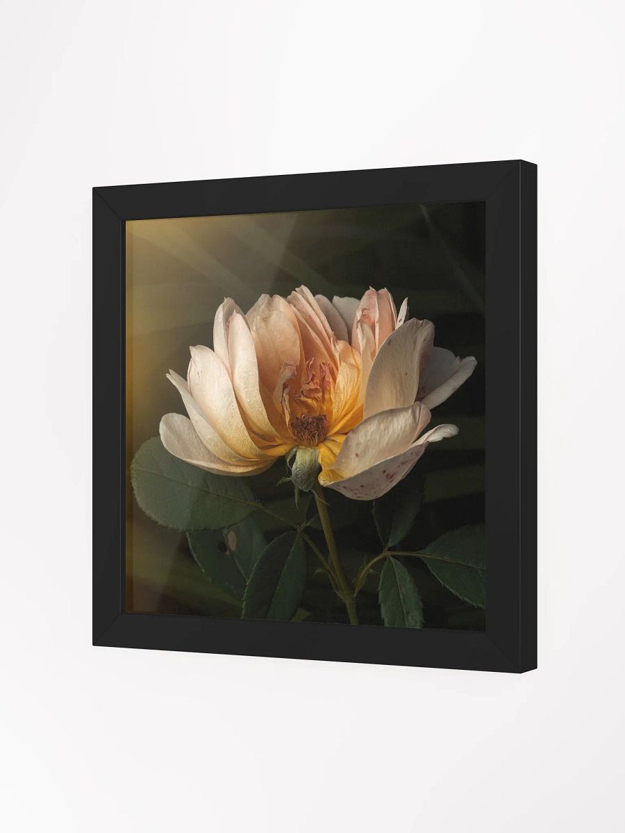 Half the Rose product image (3)