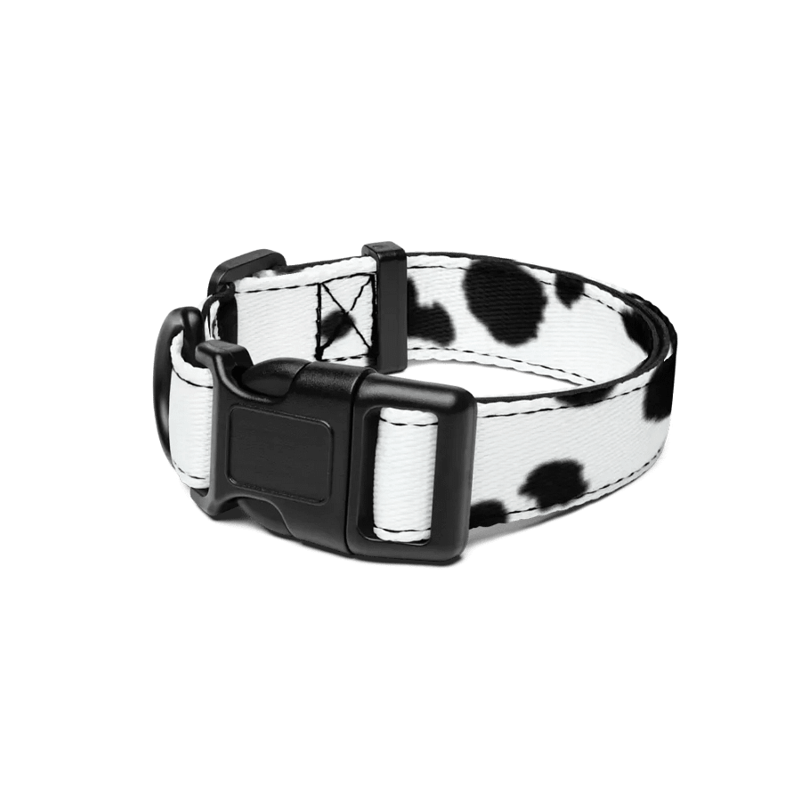 Dalmatian Dream Pet Collar product image (1)