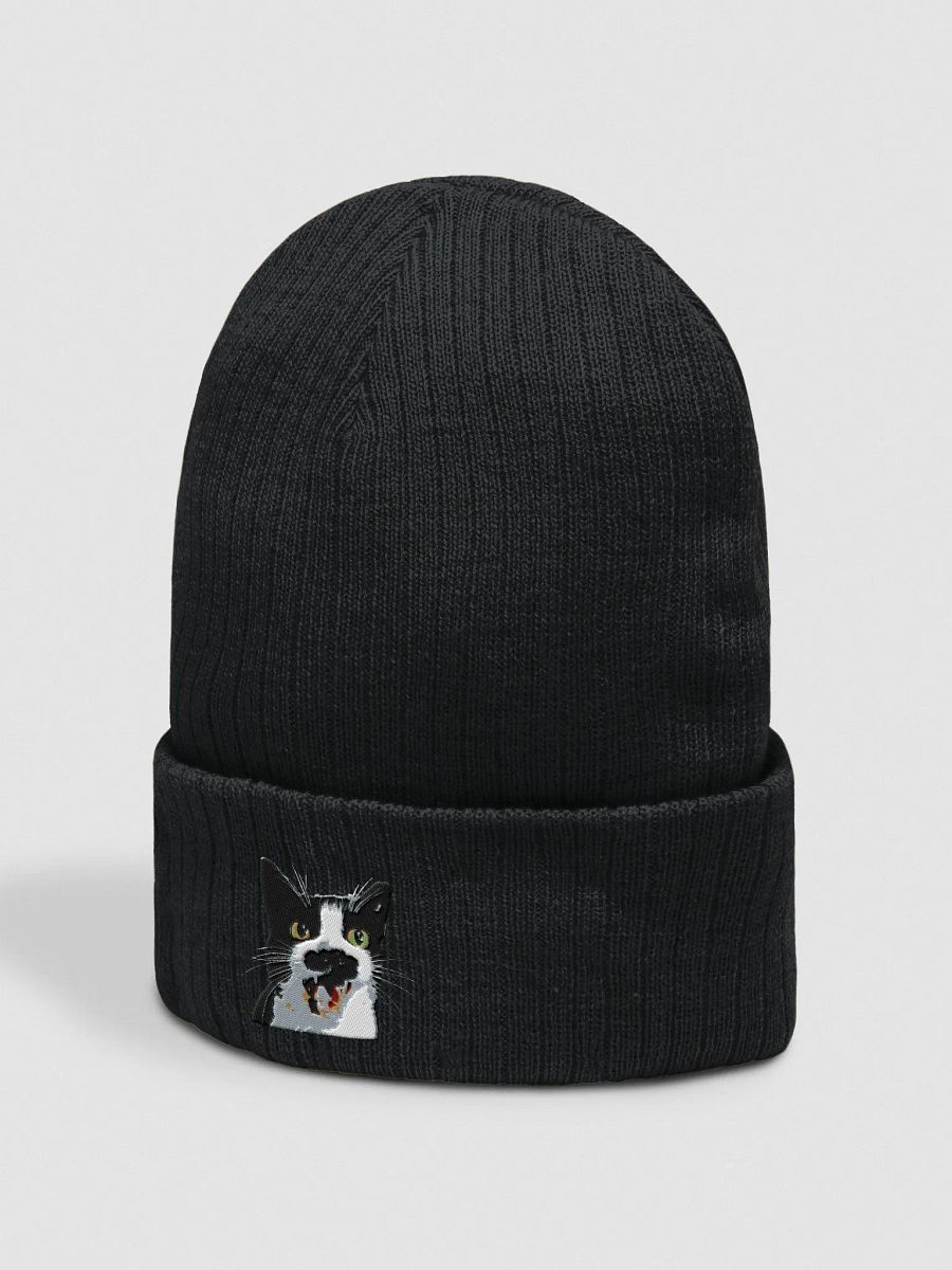 Loki Cuffed Beanie product image (2)