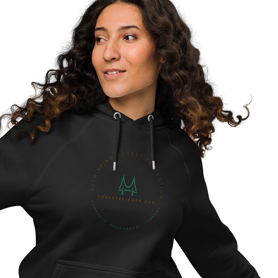 Forest Bridges Fall Colors Hoodies with Full-Color Emblem on Front product image (15)