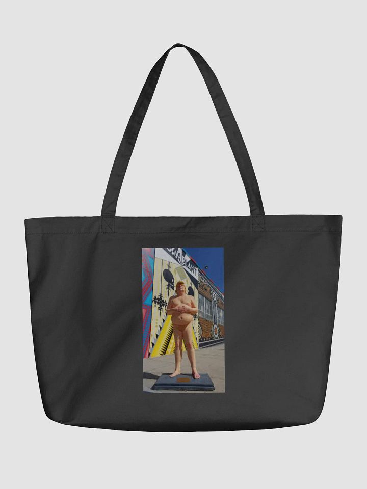 DONALD TRUMP MAKE AMERICA GREAT AGAIN product image (1)