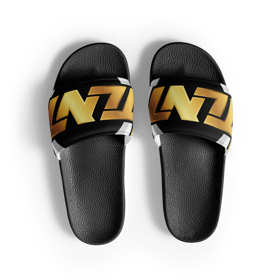 TLNT B&G SLIDES product image (3)