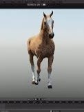 Animation Editing Software product image (4)
