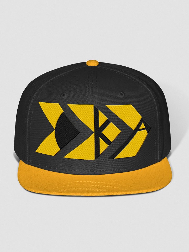 OKACHOBI SNAPBACK product image (3)