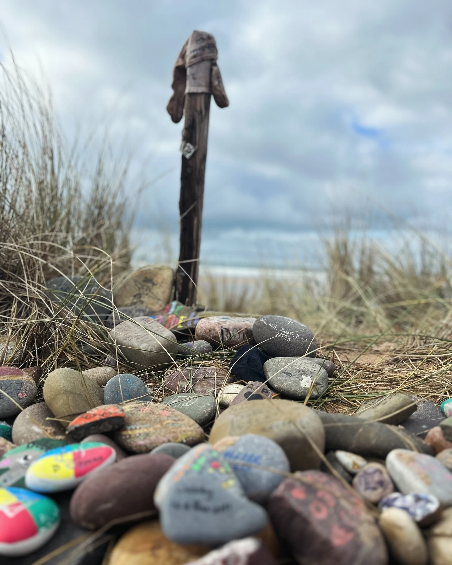 Finally got to visit Dobbys grave and left a rock and a sock for them with @aimee.slays