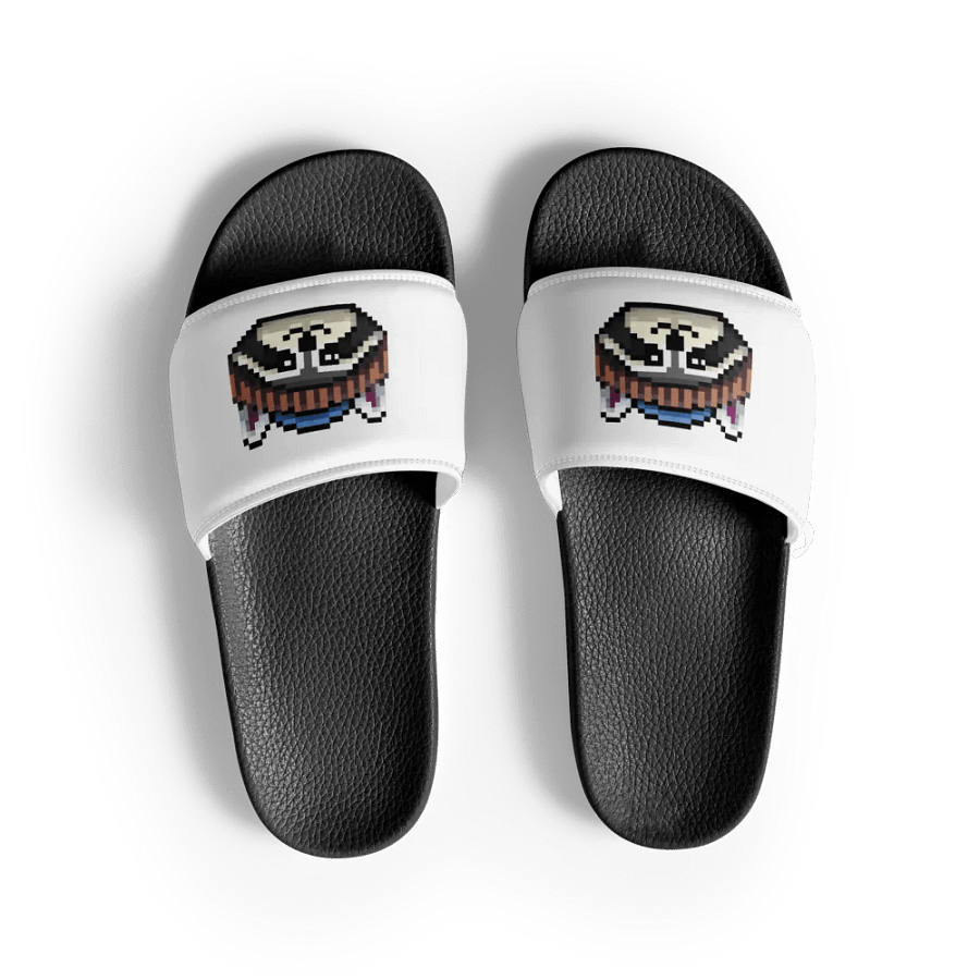 Trash Bandit Slides product image (2)