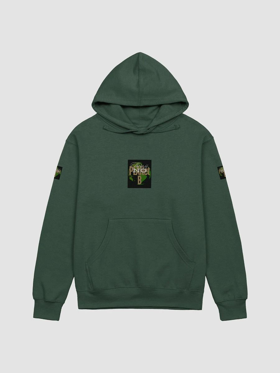 There is No PLANet B Midweight Hoodie – Wear the Message, Save the Earth product image (5)