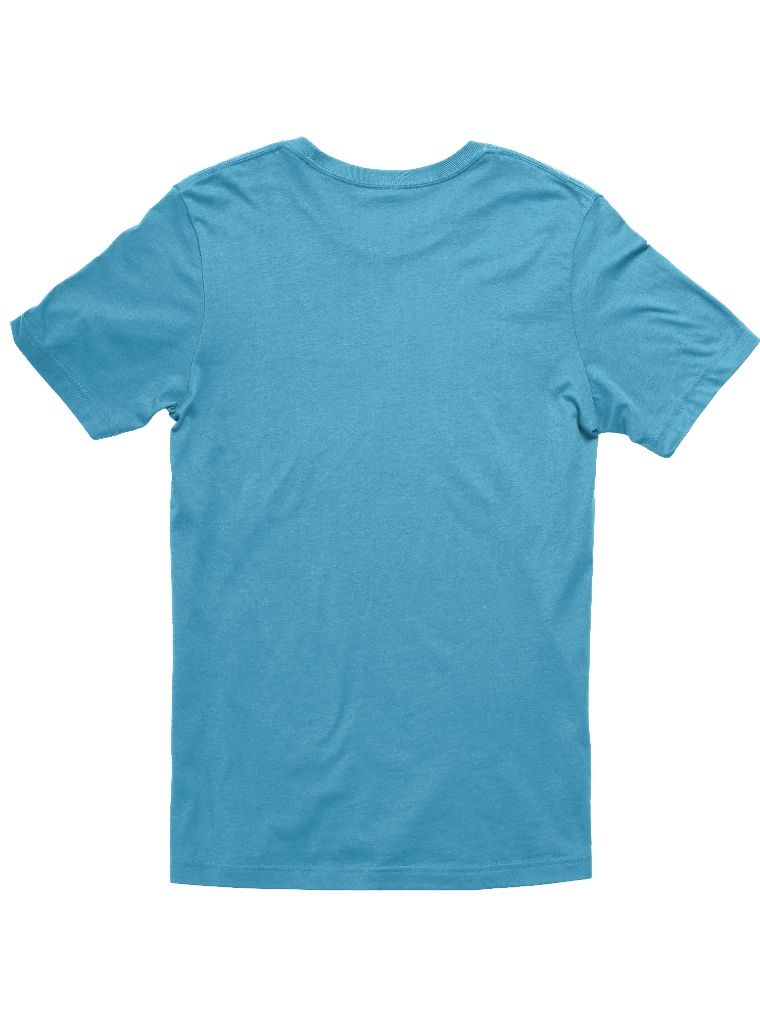 Squid Bella+Canvas Color product image (21)