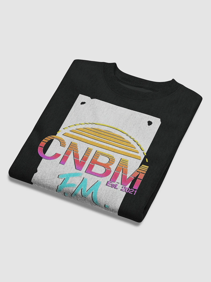 CNBM FM product image (10)