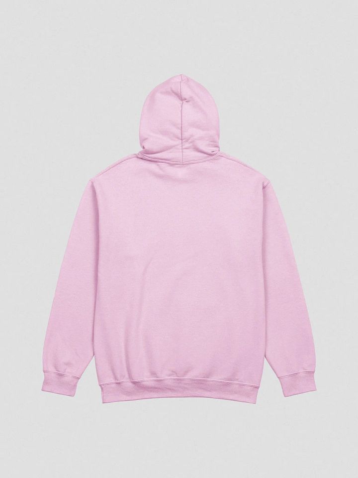 BCA Hoodie product image (2)