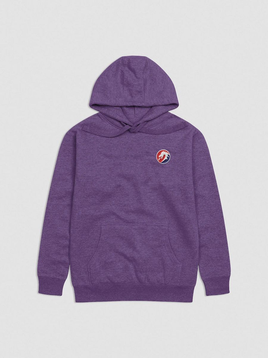 Tsumego Dragon Hoodie product image (1)