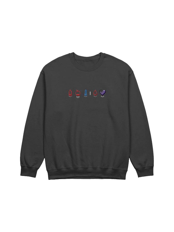 HollyRex X DayZ Embroidered Crewneck Sweatshirt product image (4)
