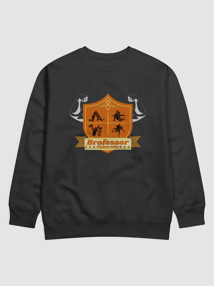 Brofessor University Premium Sweatshirt product image (1)