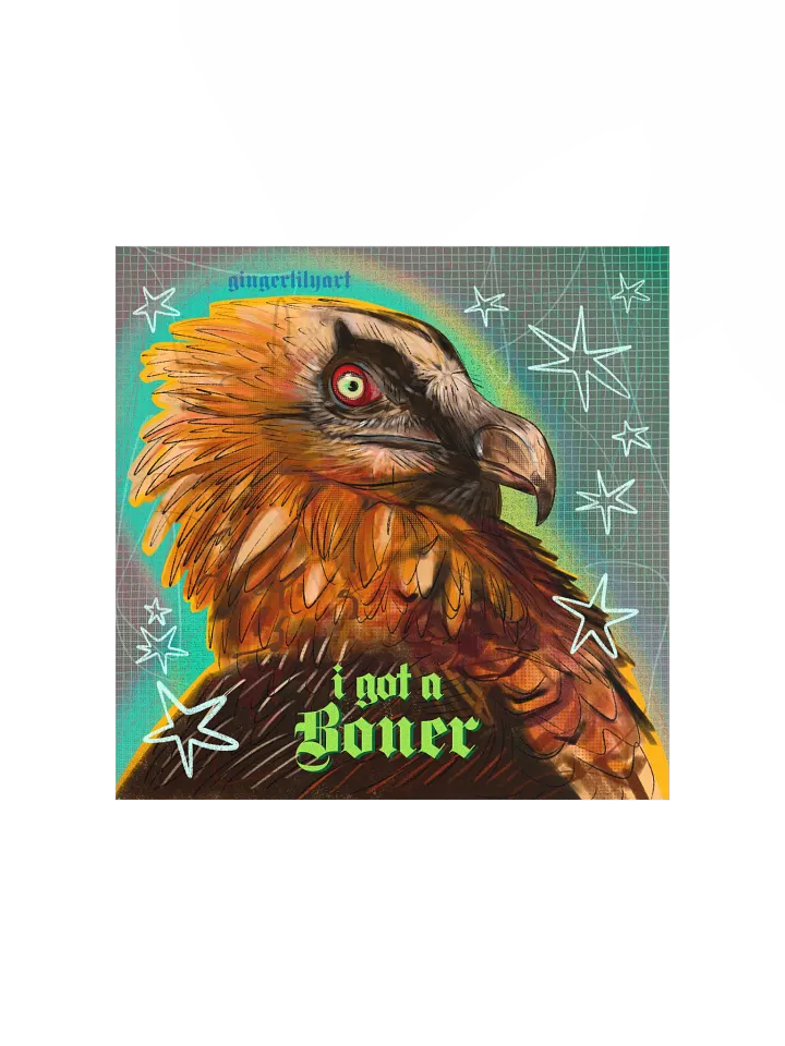 bearded vulture print product image (2)
