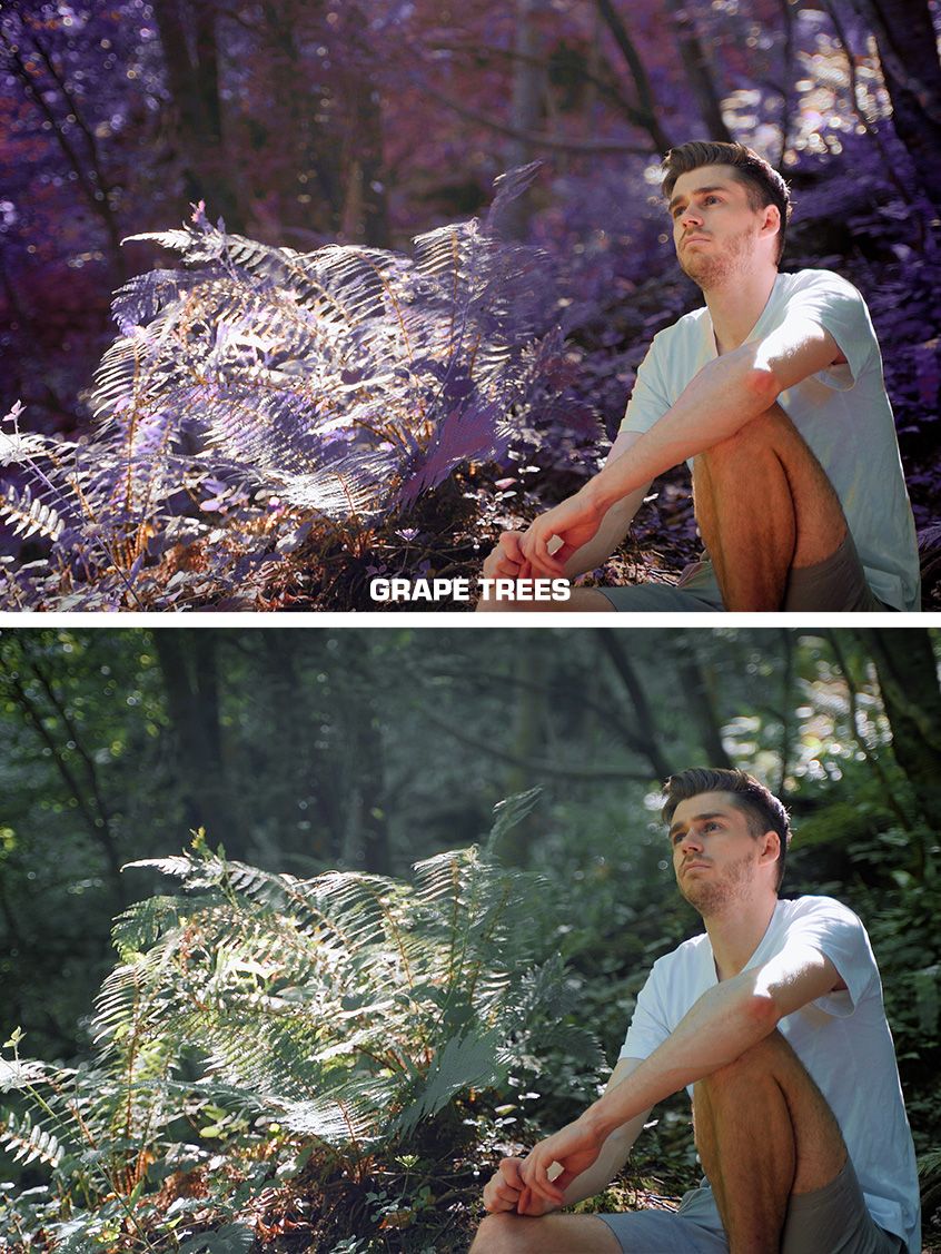 Colour Popping - LUT Pack product image (3)