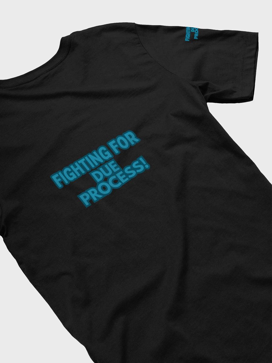 Anti MAGA Due Process Soft T-Shirt product image (37)